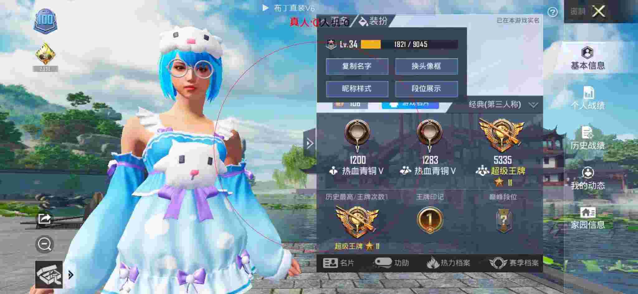 和平精英布丁直装透视 - {
